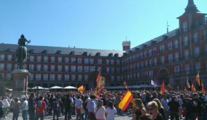 Concentración en la Plaza Mayor de Madrid. /Foto: ramblalibre.com.