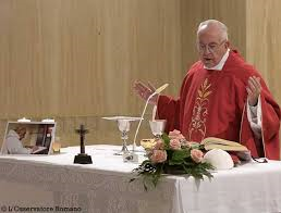 Papa Francisco en la Misa por Jacques Hamel. /foto: noticias.iruya.com