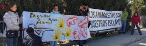 Protesta animalista contra "La Gaviota". /Foto: diarioinformacion.com.