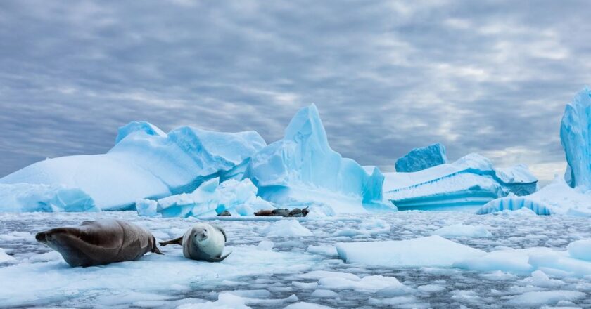 Los calentólogos mienten: El hielo en la Antártida no para de crecer