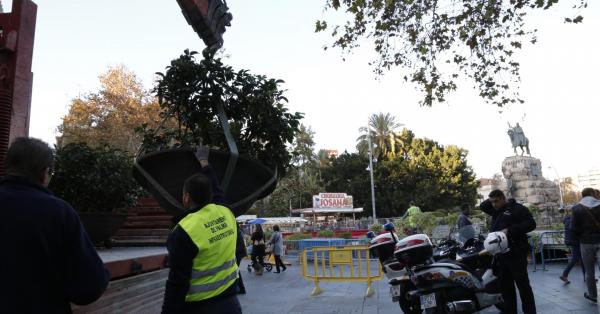 REPENTINITIS: ¡Una joven de 18 años se desploma en pleno centro de Palma!