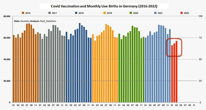 ¡Grave caída de la natalidad mundial por la infertilidad de la timo vacuna!