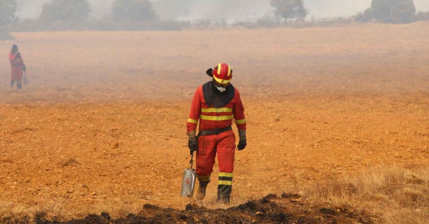 La causa de los incendios no es el timo climático, está clarísimo, sino las nefastas políticas ecologetas