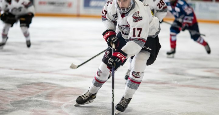 REPENTINITIS: Capitán del equipo de hockey junior en Ayr, Ontario. muere en el terreno de juego
