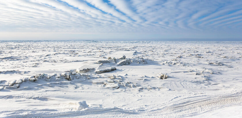 El calentamiento global es un puro timo: La plataforma de hielo de la Antártida creció 5.305 kilómetros cuadrados entre 2009 y 2019