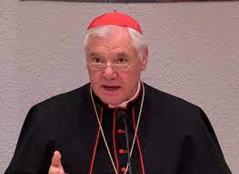 Cardenal Múller, abandone el sínodo de la satanidad